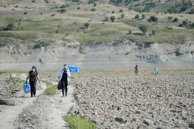 Mevsimlik işçiler aşıya gidemedi, sağlık ekipleri tarlaya indi